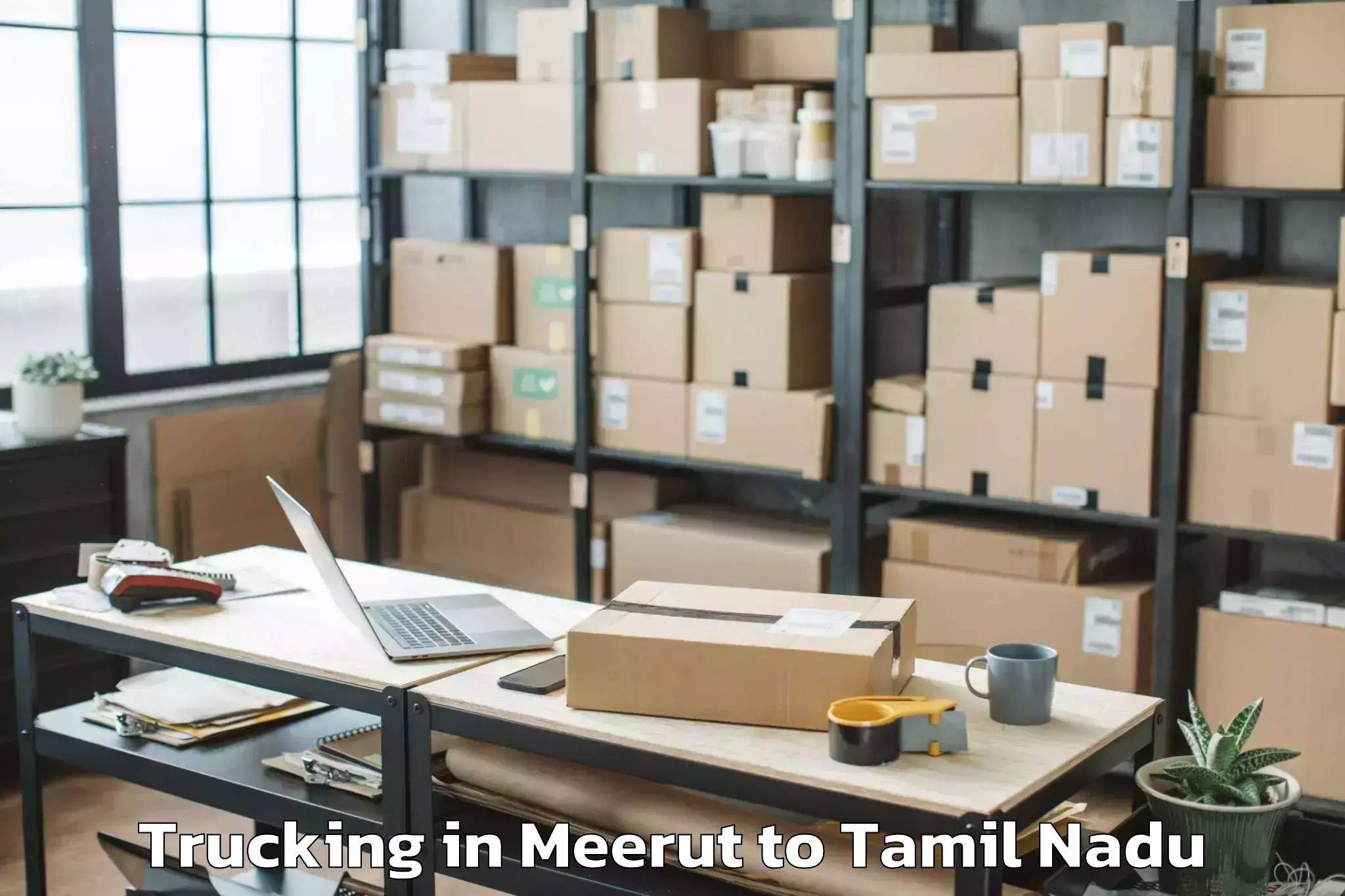 Leading Meerut to Peranamallur Trucking Provider